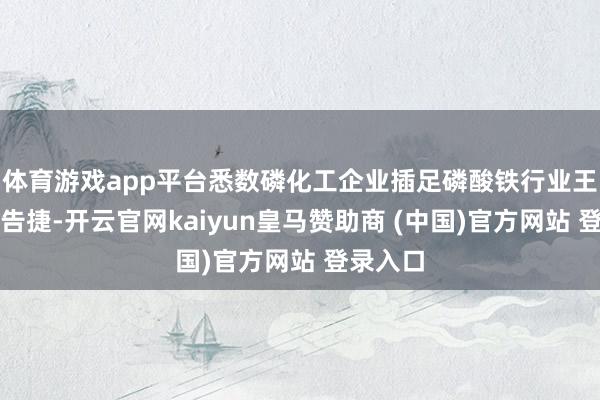 體育游戲app平臺悉數磷化工企業插足磷酸鐵行業王人不算告捷-開云官網kaiyun皇馬贊助商 (中國)官方網站 登錄入口