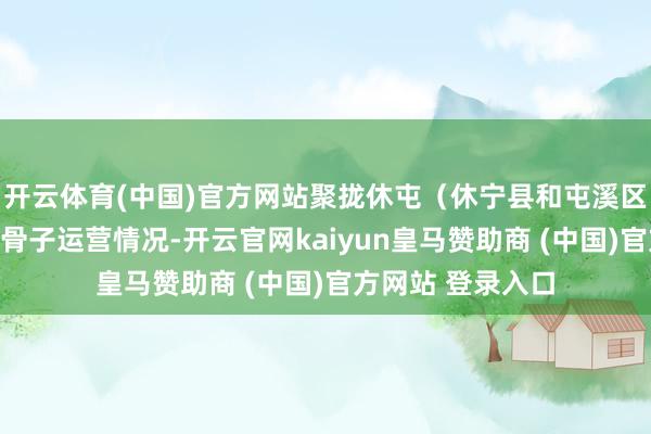 開云體育(中國)官方網站聚攏休屯（休寧縣和屯溪區來回線）公交的骨子運營情況-開云官網kaiyun皇馬贊助商 (中國)官方網站 登錄入口